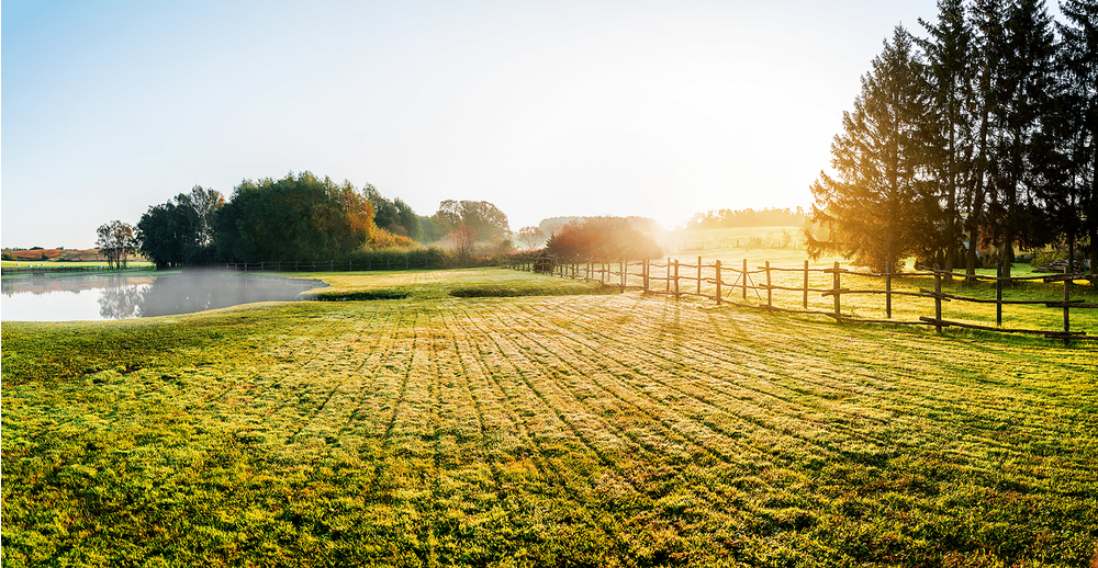 adobestock_71483494.png